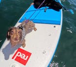 Umi to Yama SUPスクールに投稿された画像（2025/7/20）