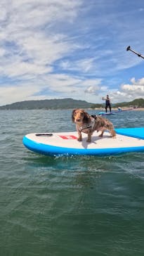 Umi to Yama SUPスクールに投稿された画像（2025/7/19）