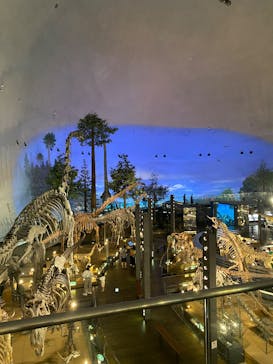 福井県立恐竜博物館に投稿された画像（2025/7/19）