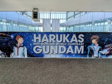 ハルカス300(展望台)に投稿された画像（2025/7/20）