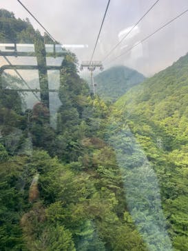 谷川岳ヨッホ by 星野リゾートに投稿された画像（2025/7/20）