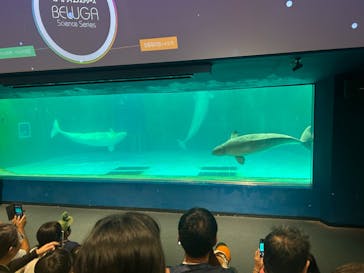 鴨川シーワールドに投稿された画像（2025/7/20）