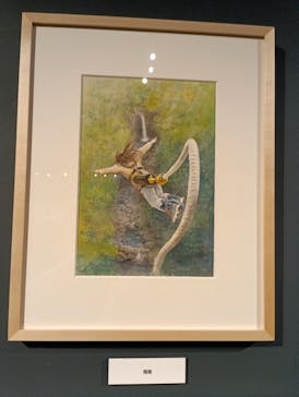 プレバト才能アリ展に投稿された画像（2025/7/20）