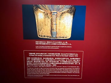 MYSTERY OF TUTANKHAMEN 体感型古代エジプト展に投稿された画像（2025/7/20）