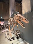 福井県立恐竜博物館に投稿された画像（2025/7/20）