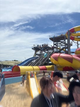 蓮沼ウォーターガーデンに投稿された画像（2025/7/20）