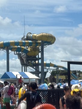 蓮沼ウォーターガーデンに投稿された画像（2025/7/20）