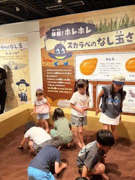 体感するファーブル昆虫展in横浜赤レンガ倉庫に投稿された画像（2025/7/20）