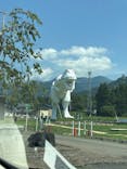 福井県立恐竜博物館に投稿された画像（2025/7/20）