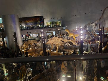 福井県立恐竜博物館に投稿された画像（2025/7/20）