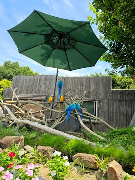 岩手サファリパークに投稿された画像（2025/7/20）