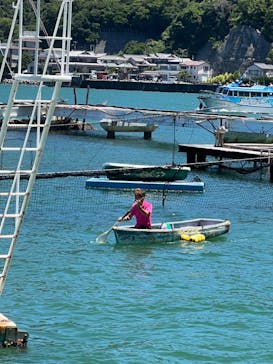 あわしまマリンパークに投稿された画像（2025/7/20）