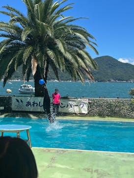 あわしまマリンパークに投稿された画像（2025/7/20）