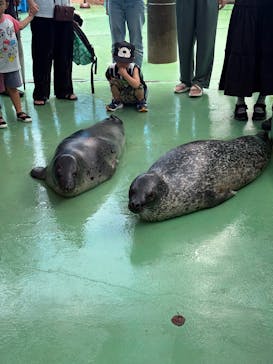 ゼロ距離水族館 伊勢シーパラダイスに投稿された画像（2025/7/20）