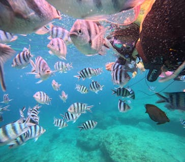 沖縄マリンサービス碧に投稿された画像（2025/7/20）