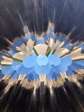 彫刻の森美術館に投稿された画像（2025/7/20）