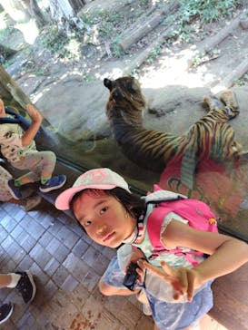 恩賜上野動物園に投稿された画像（2025/7/20）