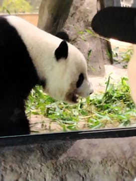 恩賜上野動物園に投稿された画像（2025/7/20）