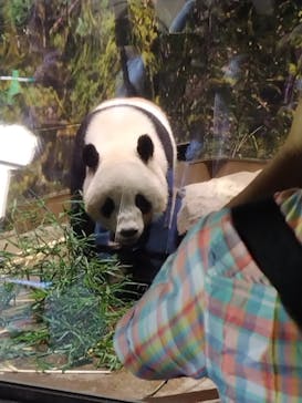 恩賜上野動物園に投稿された画像（2025/7/20）