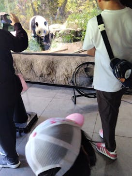 恩賜上野動物園に投稿された画像（2025/7/20）