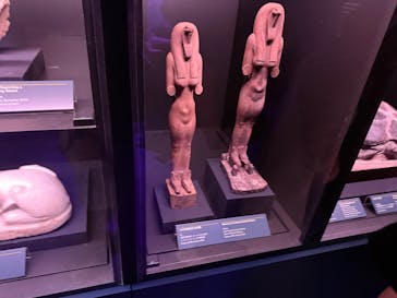 ACN ラムセス大王展 ファラオたちの黄金に投稿された画像（2025/7/20）