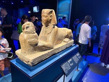 ACN ラムセス大王展 ファラオたちの黄金に投稿された画像（2025/7/20）