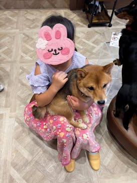 いぬカフェRio 京都店に投稿された画像（2025/7/20）