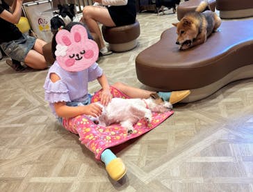 いぬカフェRio 京都店に投稿された画像（2025/7/20）