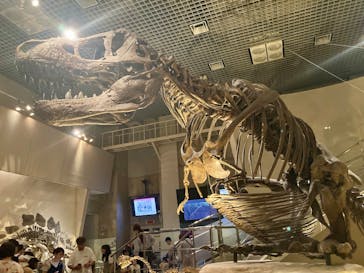 国立科学博物館に投稿された画像（2025/7/20）