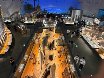 福井県立恐竜博物館に投稿された画像（2025/7/20）