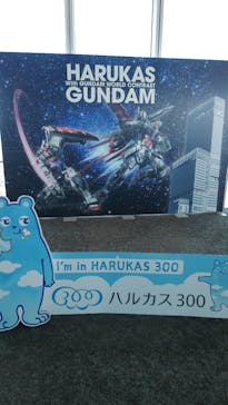 ハルカス300(展望台)に投稿された画像（2025/7/20）