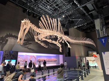 福井県立恐竜博物館に投稿された画像（2025/7/20）