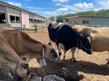 成田ゆめ牧場に投稿された画像（2025/7/20）