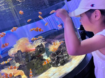 NIFREL（ニフレル）に投稿された画像（2025/7/20）