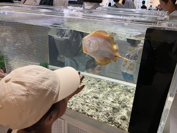 NIFREL（ニフレル）に投稿された画像（2025/7/20）