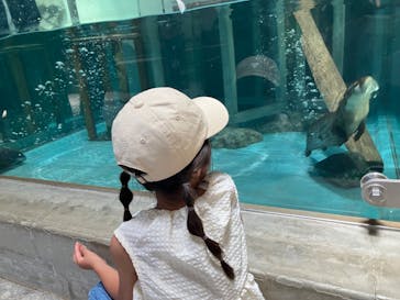 NIFREL（ニフレル）に投稿された画像（2025/7/20）