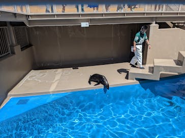 アクアワールド茨城県大洗水族館に投稿された画像（2025/7/20）