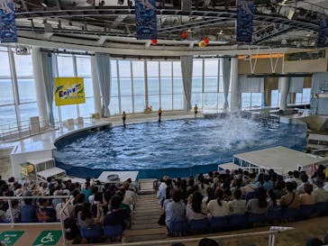 アクアワールド茨城県大洗水族館に投稿された画像（2025/7/20）