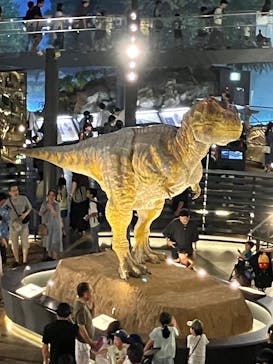 福井県立恐竜博物館に投稿された画像（2025/7/20）