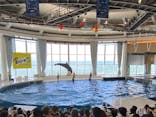 アクアワールド茨城県大洗水族館に投稿された画像（2025/7/20）
