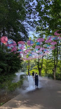 ムーミンバレーパークに投稿された画像（2025/7/20）