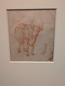 スウェーデン国立美術館　素描コレクション展―ルネサンスからバロックまでに投稿された画像（2025/7/20）