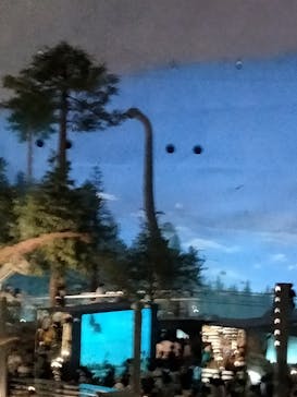 福井県立恐竜博物館に投稿された画像（2025/7/20）