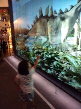 福井県立恐竜博物館に投稿された画像（2025/7/20）