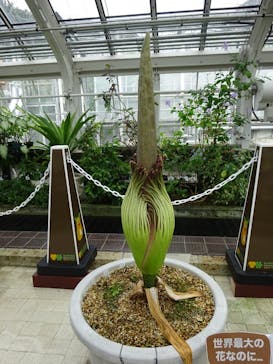 名古屋市東山動植物園に投稿された画像（2025/7/20）