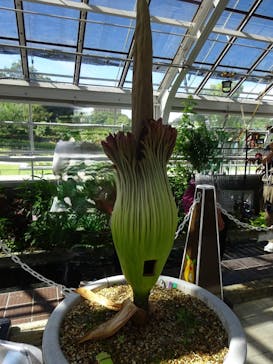 名古屋市東山動植物園に投稿された画像（2025/7/20）