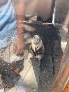 横浜・八景島シーパラダイス　プレジャーランドに投稿された画像（2025/7/20）