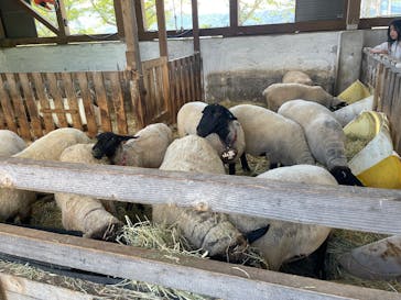 牧歌の里に投稿された画像（2025/7/20）