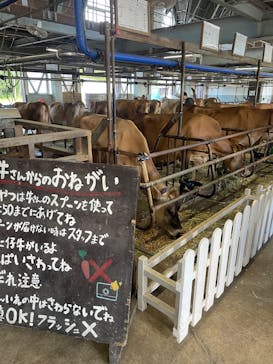 牧歌の里に投稿された画像（2025/7/20）