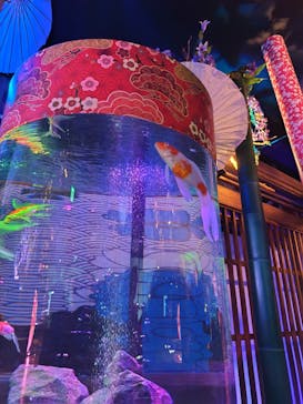 NARA KINGYO MUSEUMに投稿された画像（2025/7/20）